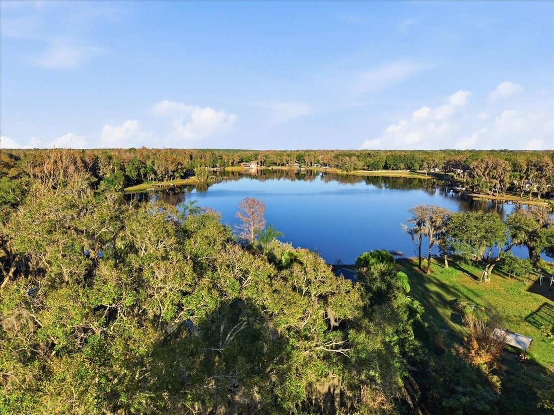 House in Odessa, Florida, United States 5 - 17185615