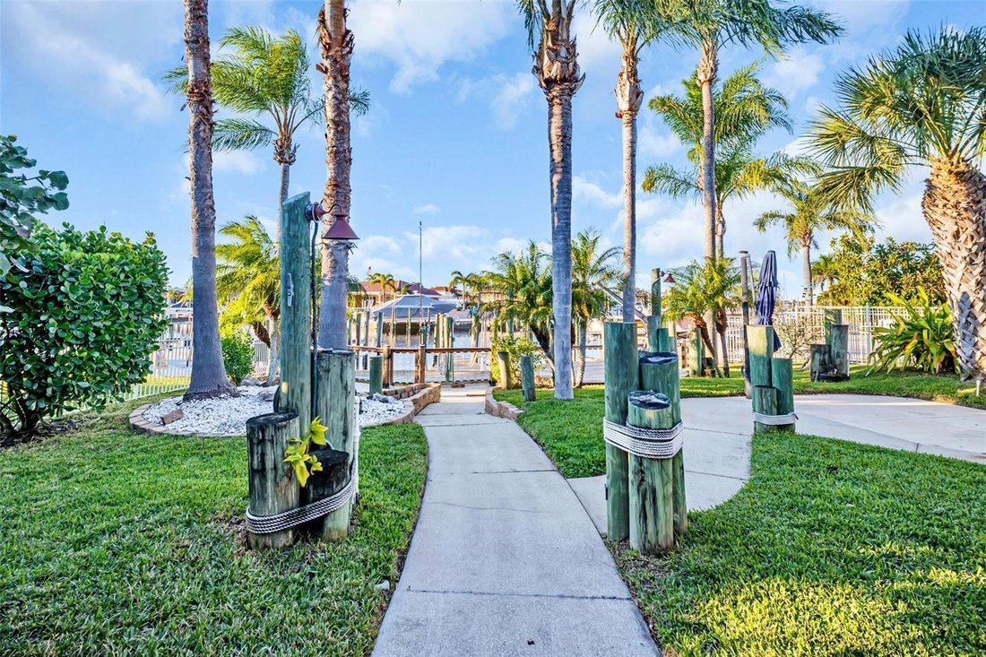 House in New Port Richey, Florida, United States 4 - 17183509