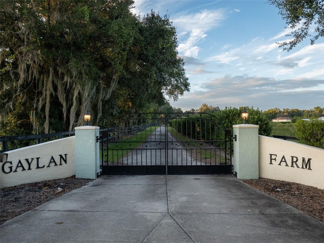 Land in Reddick, Florida, United States 3 - 17180996