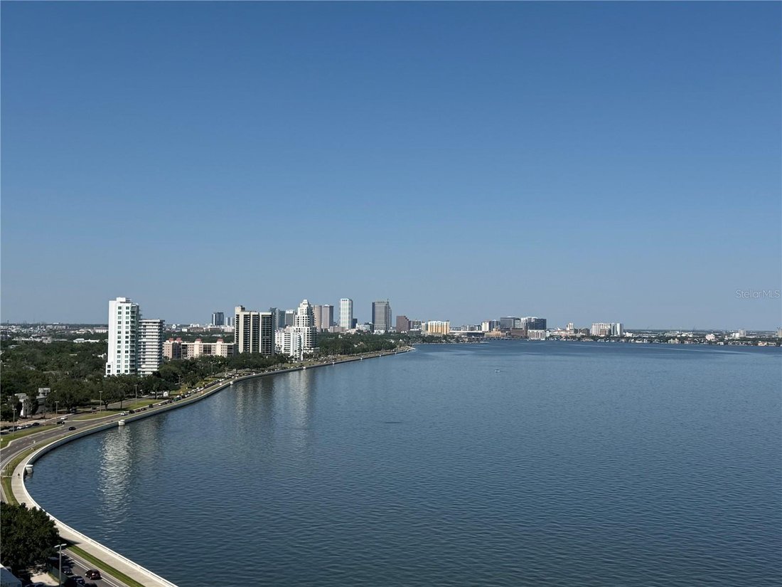 Condo in Tampa, Florida, United States 1 - 17179017