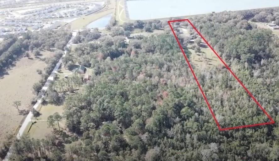 House in Wesley Chapel, Florida, United States 3 - 17184418