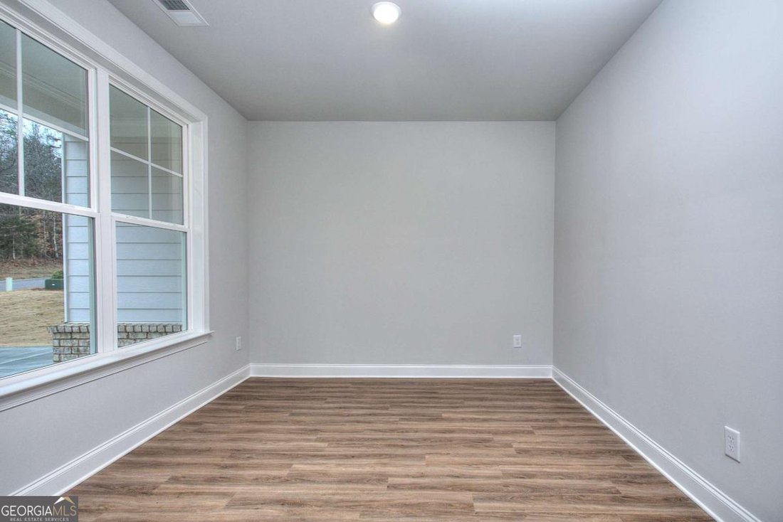 House in Gainesville, Georgia, United States 5 - 17156893