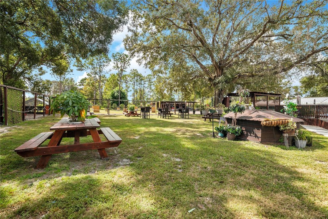 Azienda agricola a Sorrento, Florida, Stati Uniti 5 - 17181243