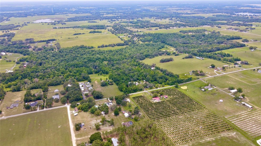 House in Dade City, Florida, United States 3 - 17185834