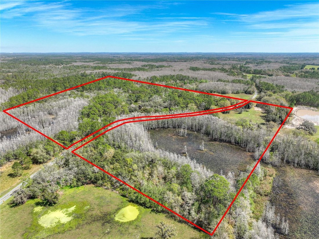 House in Groveland, Florida, United States 4 - 17187024