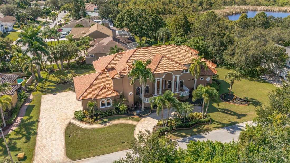 House in Tarpon Springs, Florida, United States 3 - 17183265