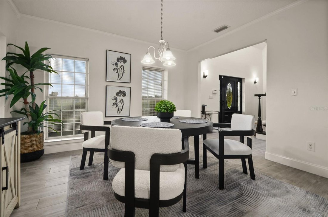 House in Apopka, Florida, United States 5 - 17183901