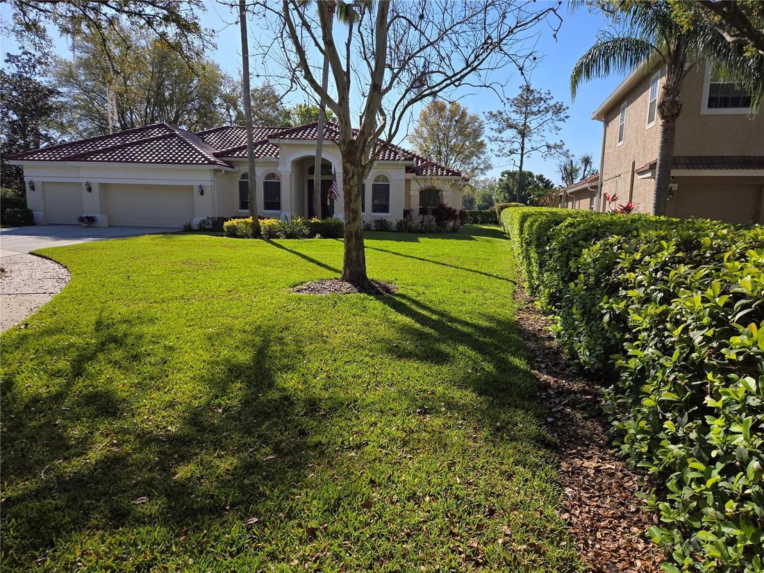 House in Tampa, Florida, United States 3 - 17186771