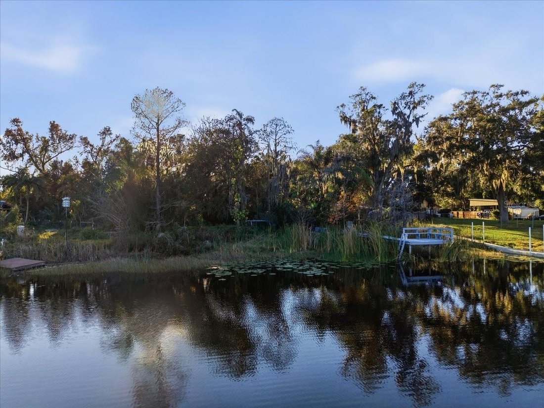 House in Odessa, Florida, United States 4 - 17185615