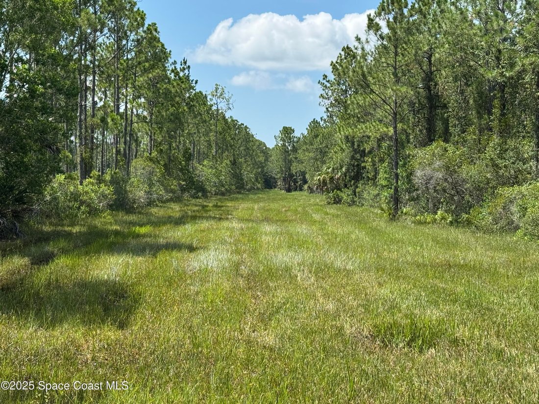 House in Mims, Florida, United States 5 - 17162745