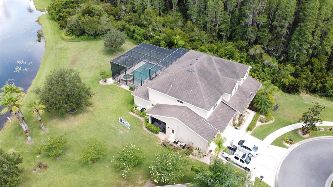 House in Tampa, Florida, United States 3 - 17179060