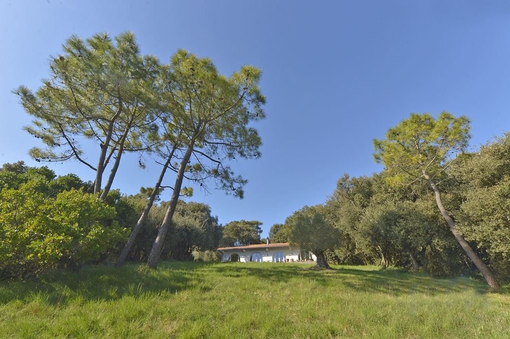 House in Nord Est Vallieres, Saint-Georges-de-Didonne, France 4 - 17155204