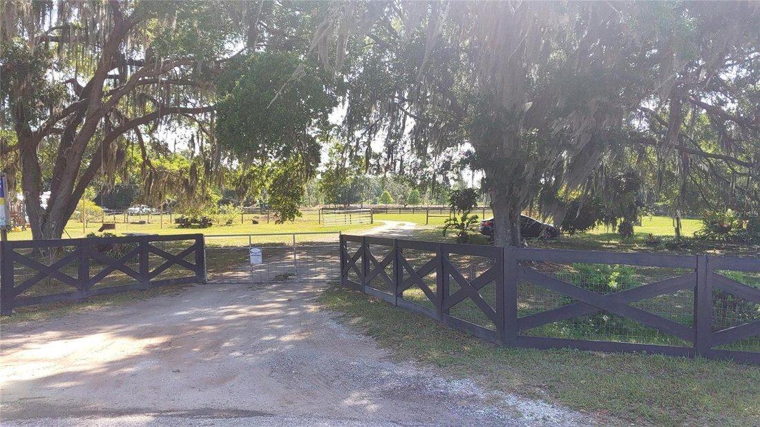 House in Plant City, Florida, United States 5 - 17185590