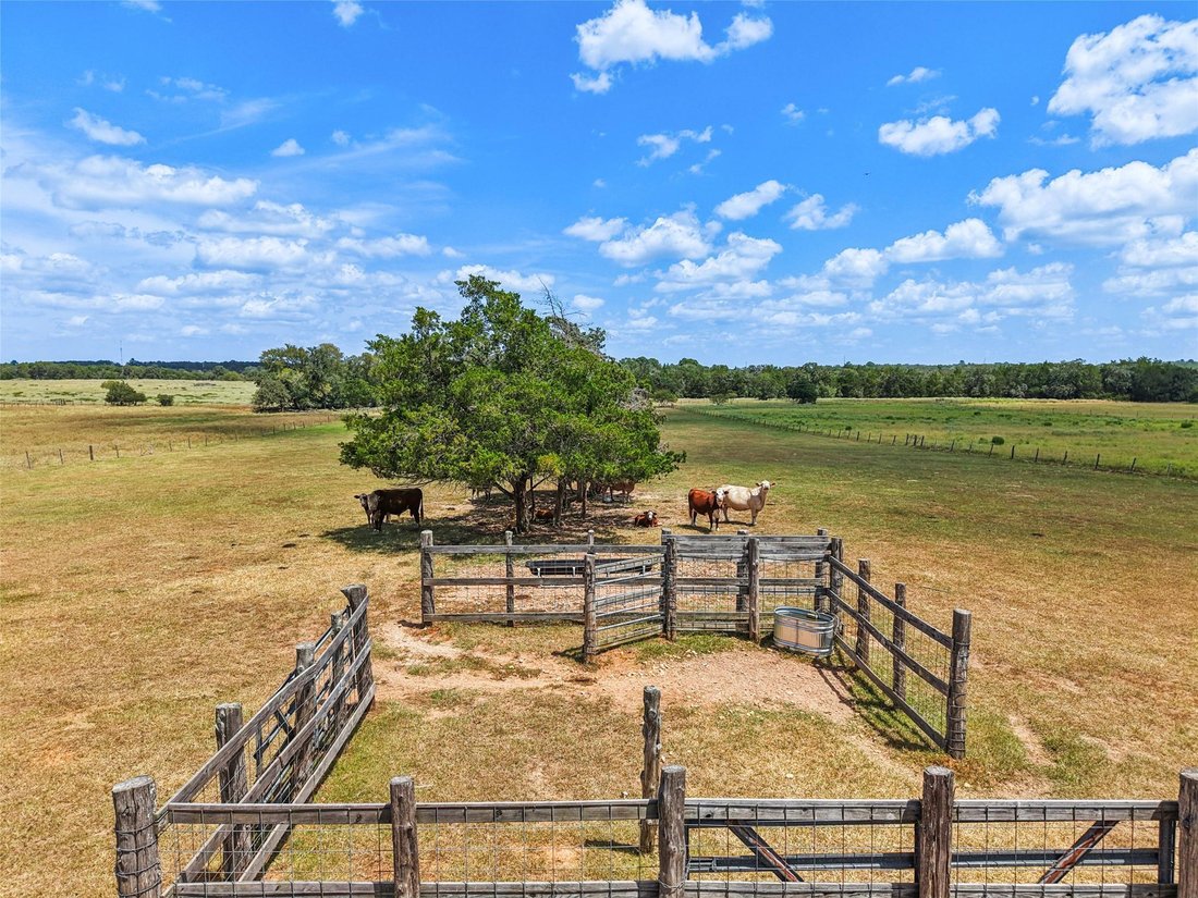 Rosanky, Texas, United States 1 - 17190038