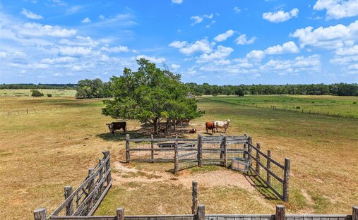 Rosanky, Texas, United States 1
