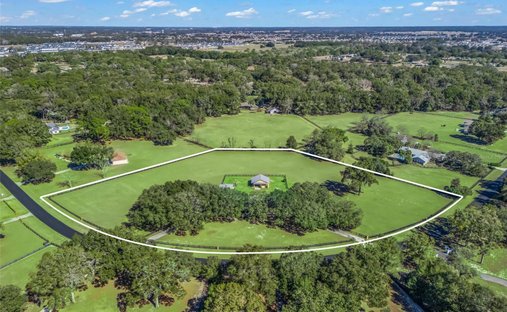 Terreno a Ocala, Florida, Stati Uniti 1