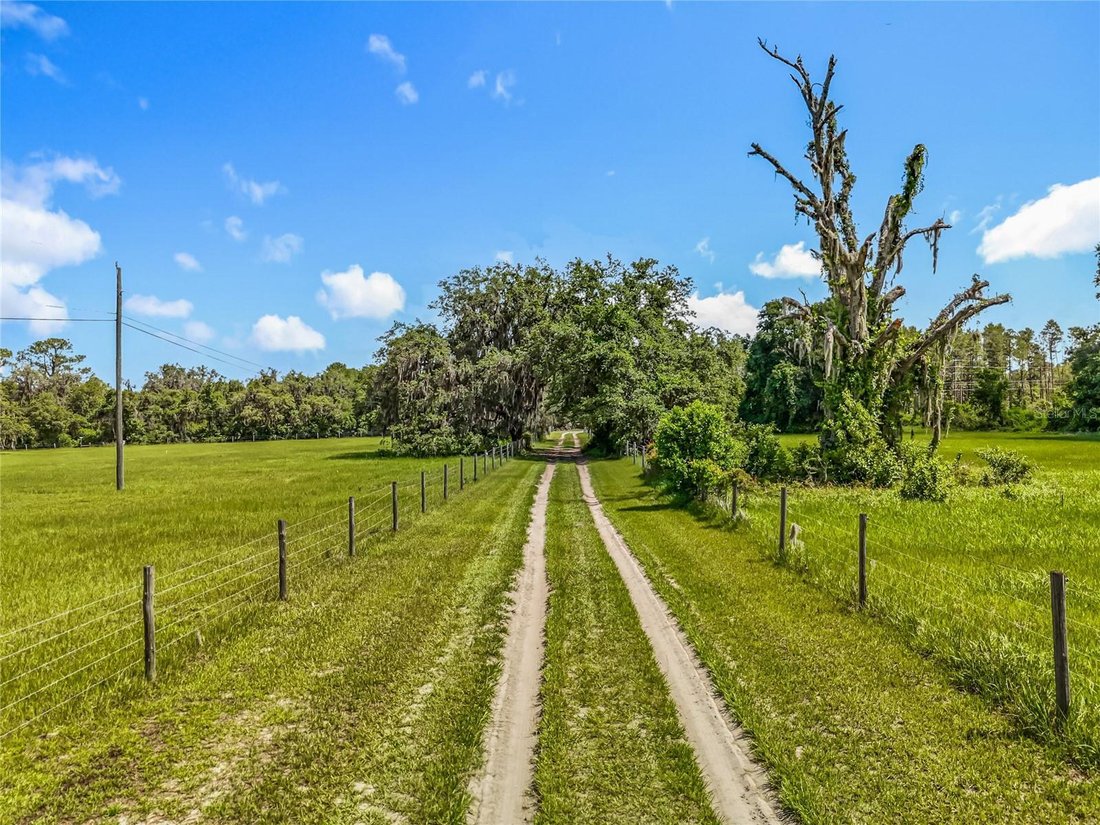 Leesburg, Florida, United States 3 - 17181660