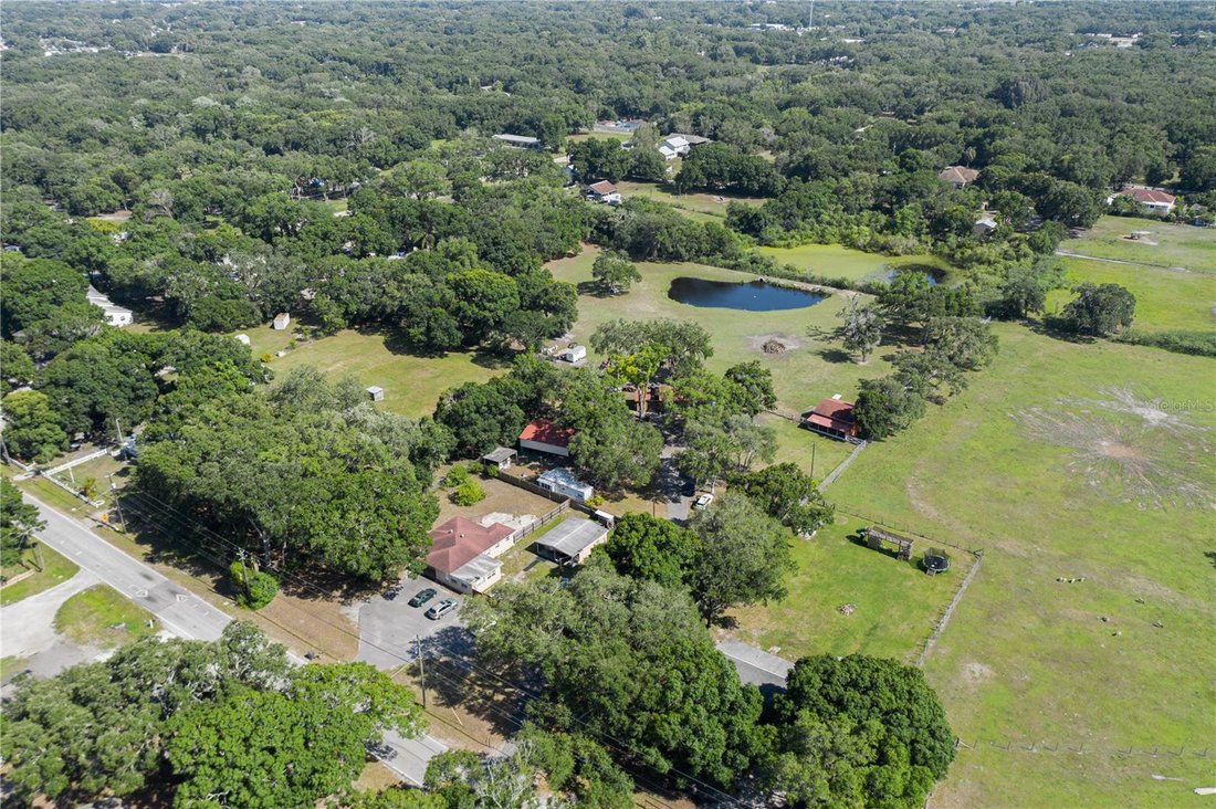 House in Tampa, Florida, United States 1 - 17187030