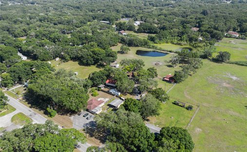 House in Tampa, Florida, United States 1