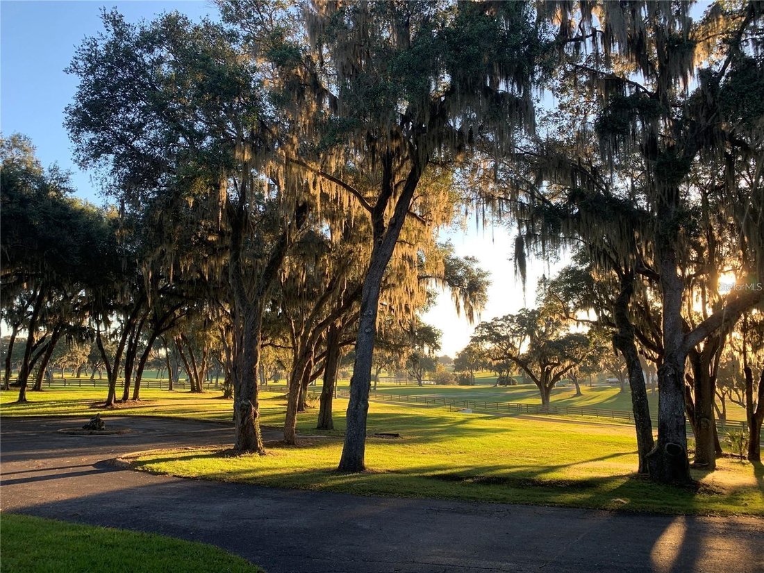 Farm Ranch in The Villages, Florida, United States 3 - 17181264