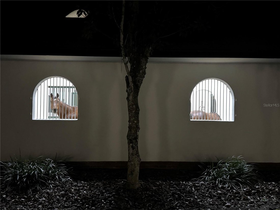 House in The Villages, Florida, United States 2 - 17180334
