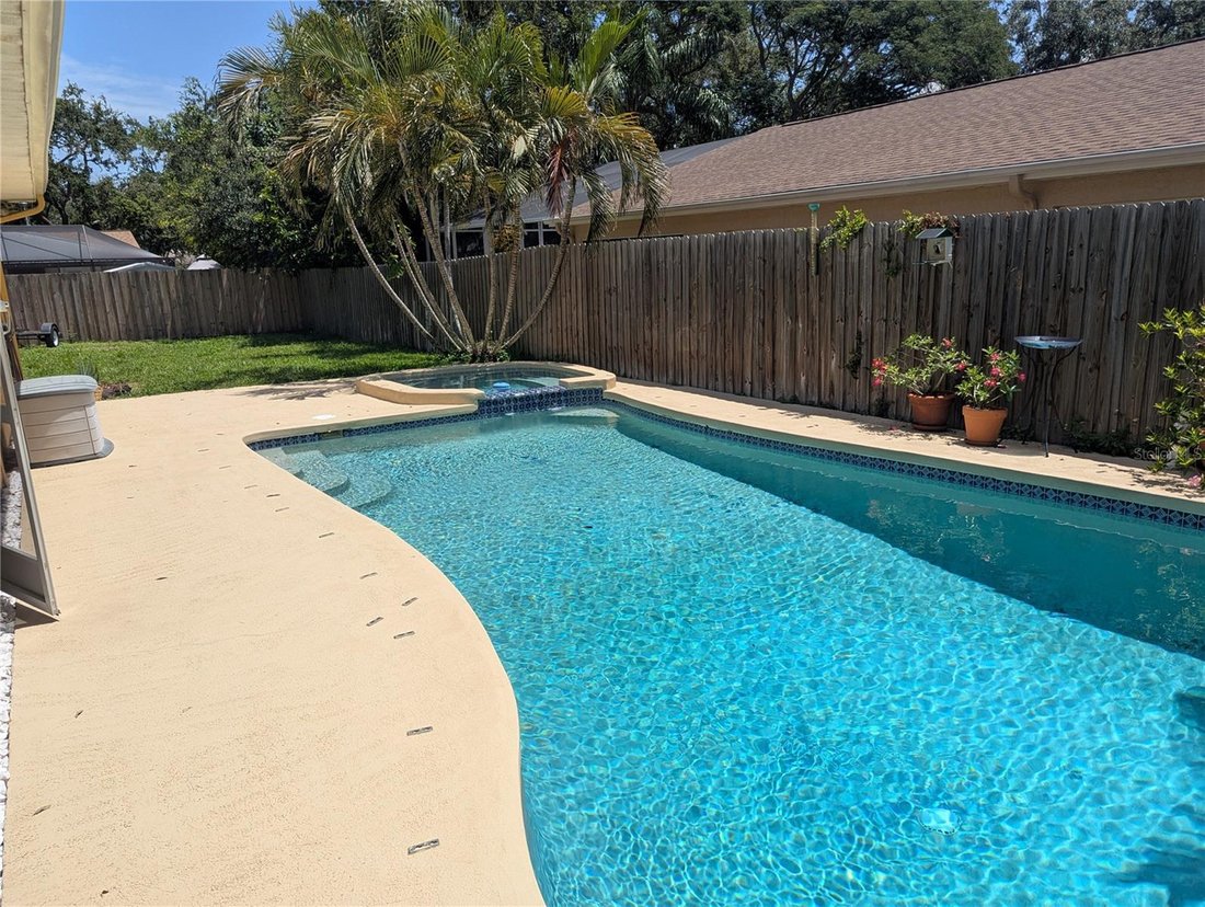 House in Tampa, Florida, United States 5 - 17182795