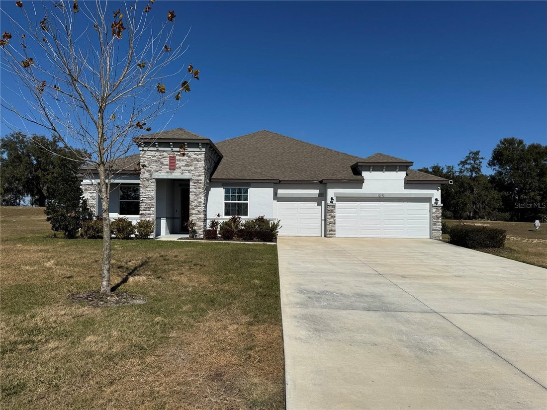 House in Thonotosassa, Florida, United States 2 - 17182633