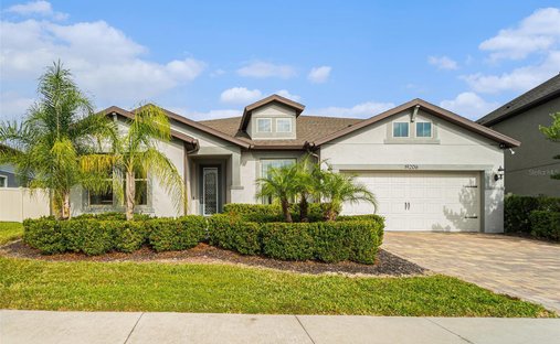 House in Tampa, Florida, United States 1