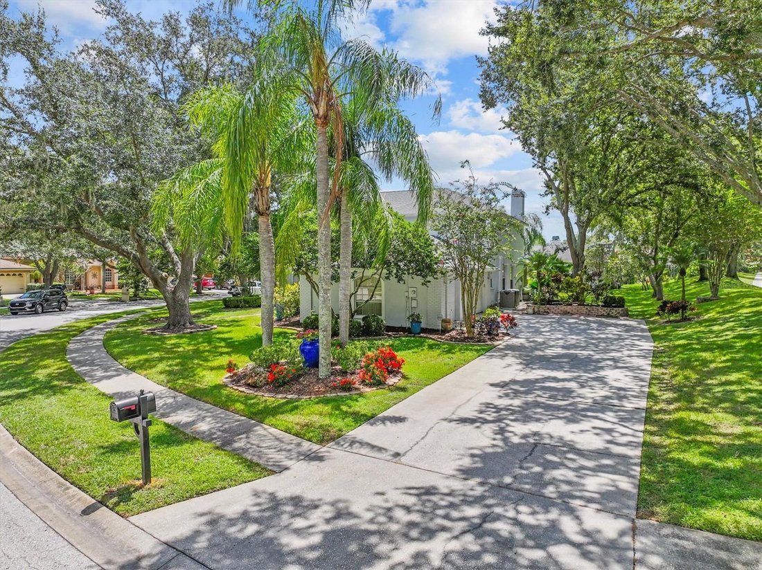 House in Oldsmar, Florida, United States 4 - 17182249