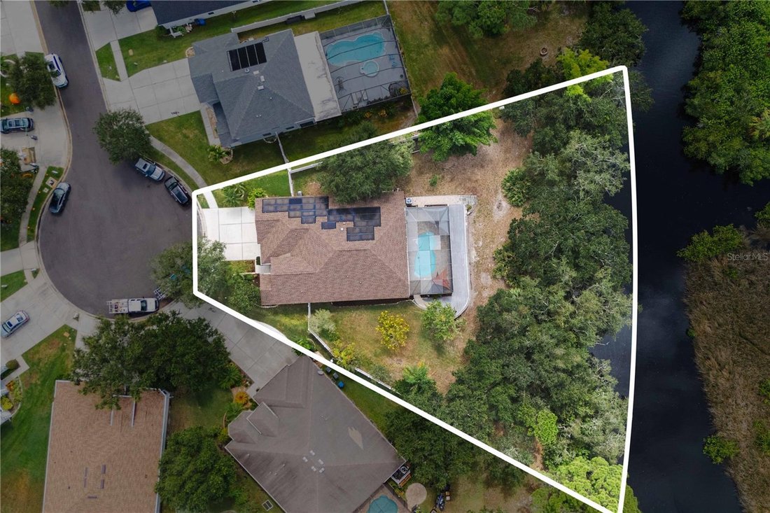 House in Tampa, Florida, United States 1 - 17180579