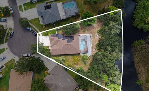 House in Tampa, Florida, United States 1