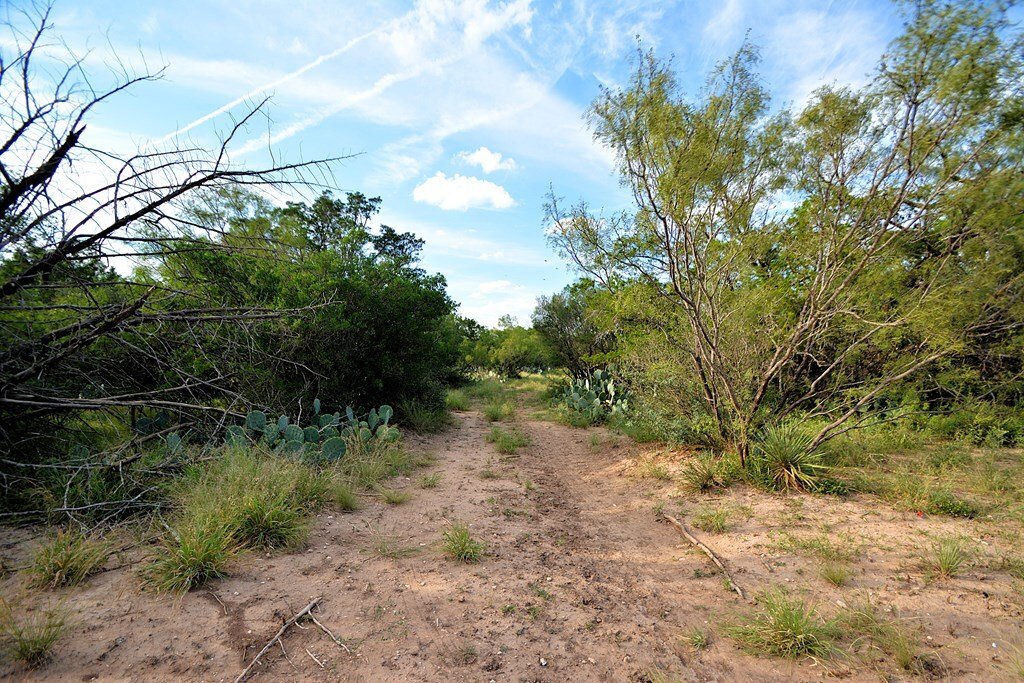 Harper, Texas, United States 3 - 17174165