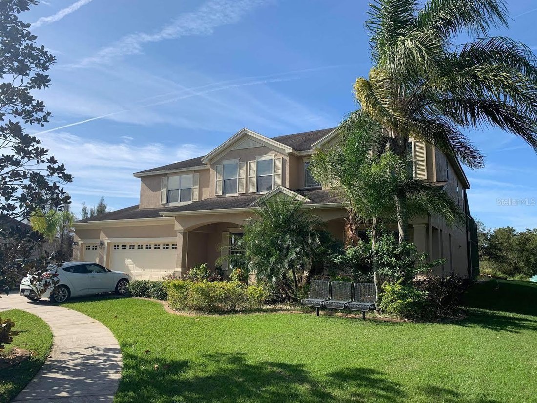 House in Tampa, Florida, United States 4 - 17179060