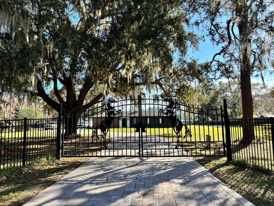 House in Kissimmee, Florida, United States 3 - 17179424