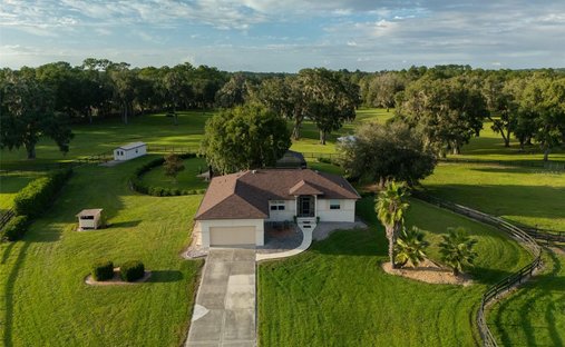 Land in Reddick, Florida, United States 1