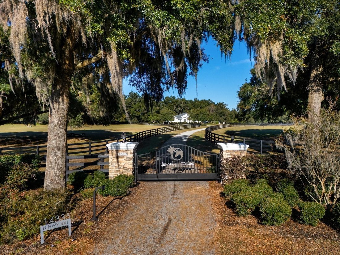 Farm Ranch in Reddick, Florida, United States 3 - 17181801