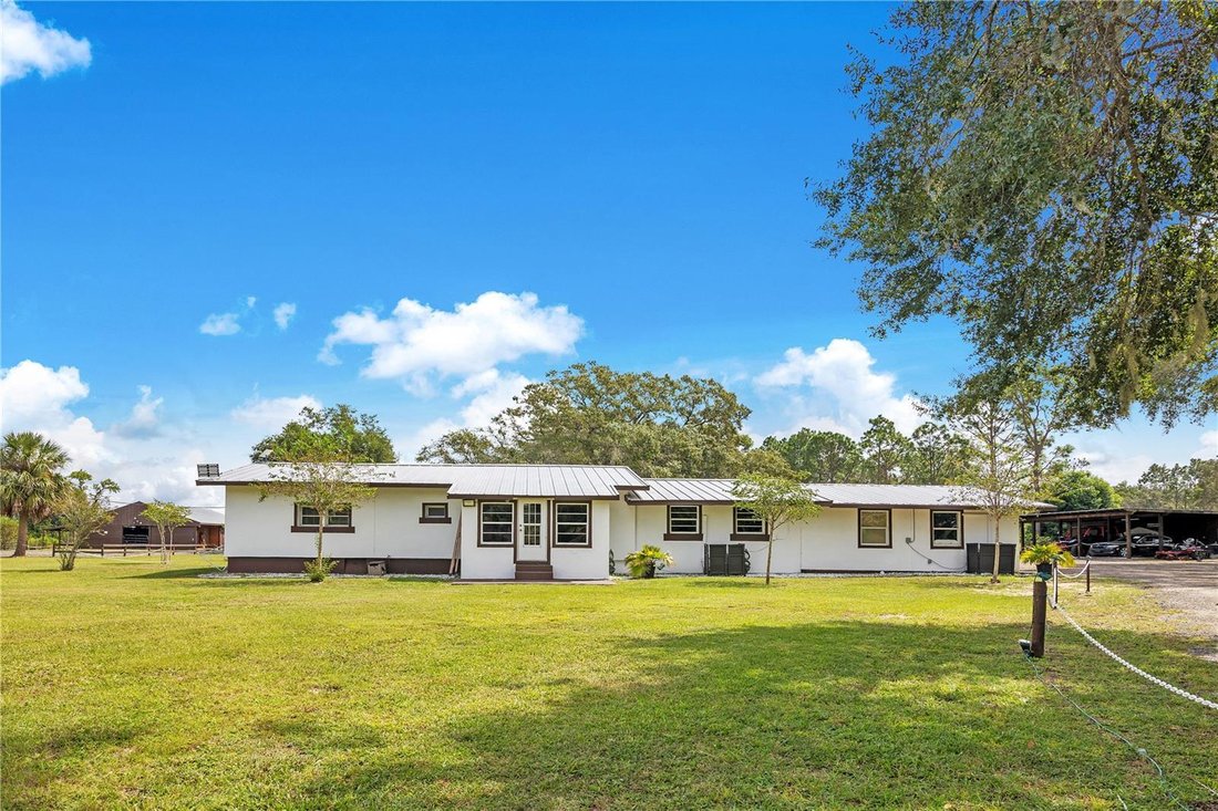 Azienda agricola a Sorrento, Florida, Stati Uniti 3 - 17181243