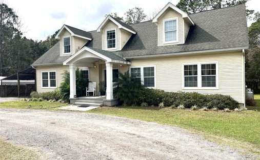 House in Wesley Chapel, Florida, United States 1
