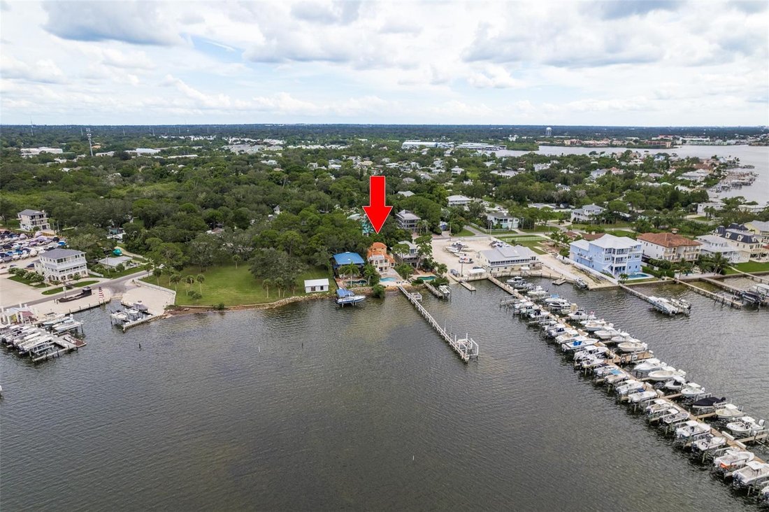 House in Palm Harbor, Florida, United States 3 - 17183041