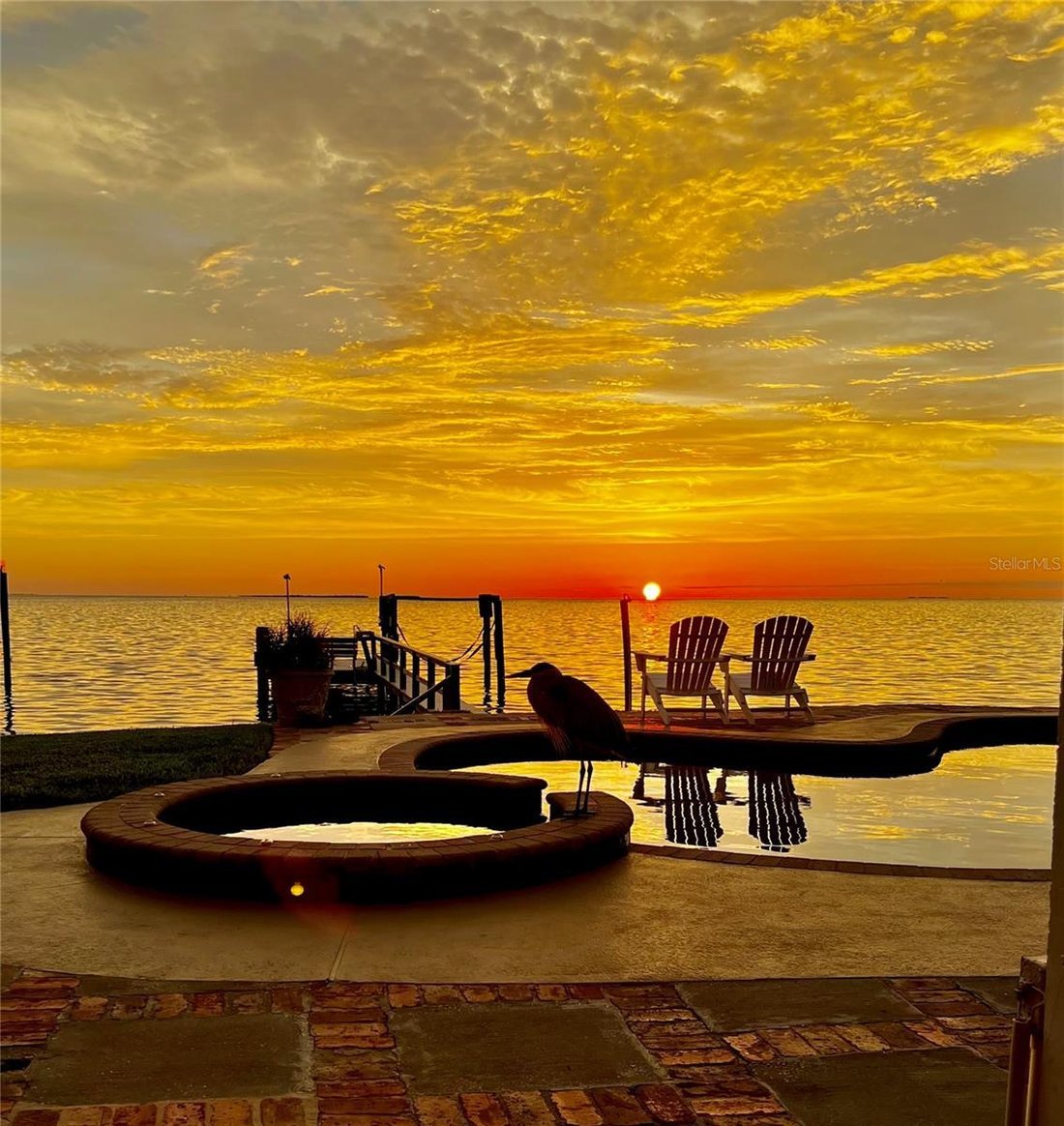 House in Palm Harbor, Florida, United States 1 - 17184098