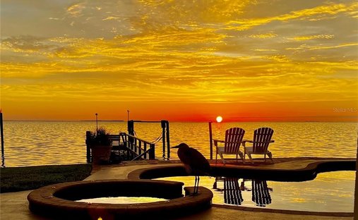 House in Palm Harbor, Florida, United States 1