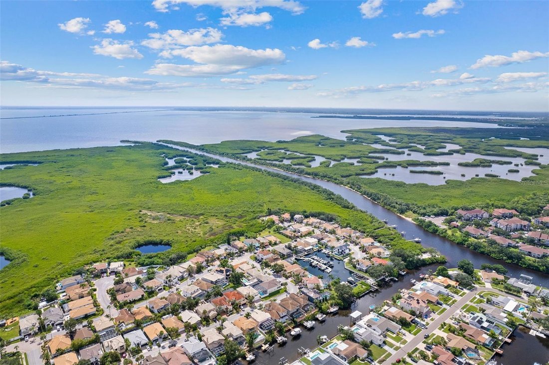 House in Tampa, Florida, United States 5 - 17186327