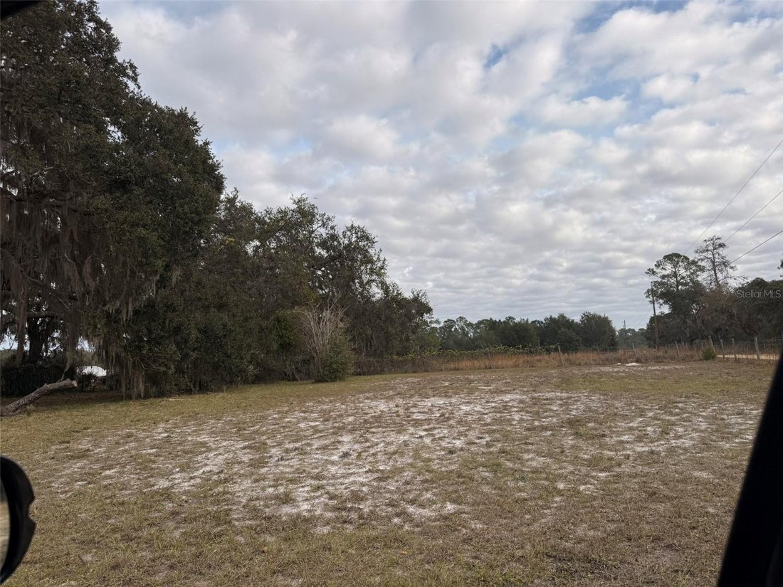 DeLand, Florida, United States 5 - 17184238