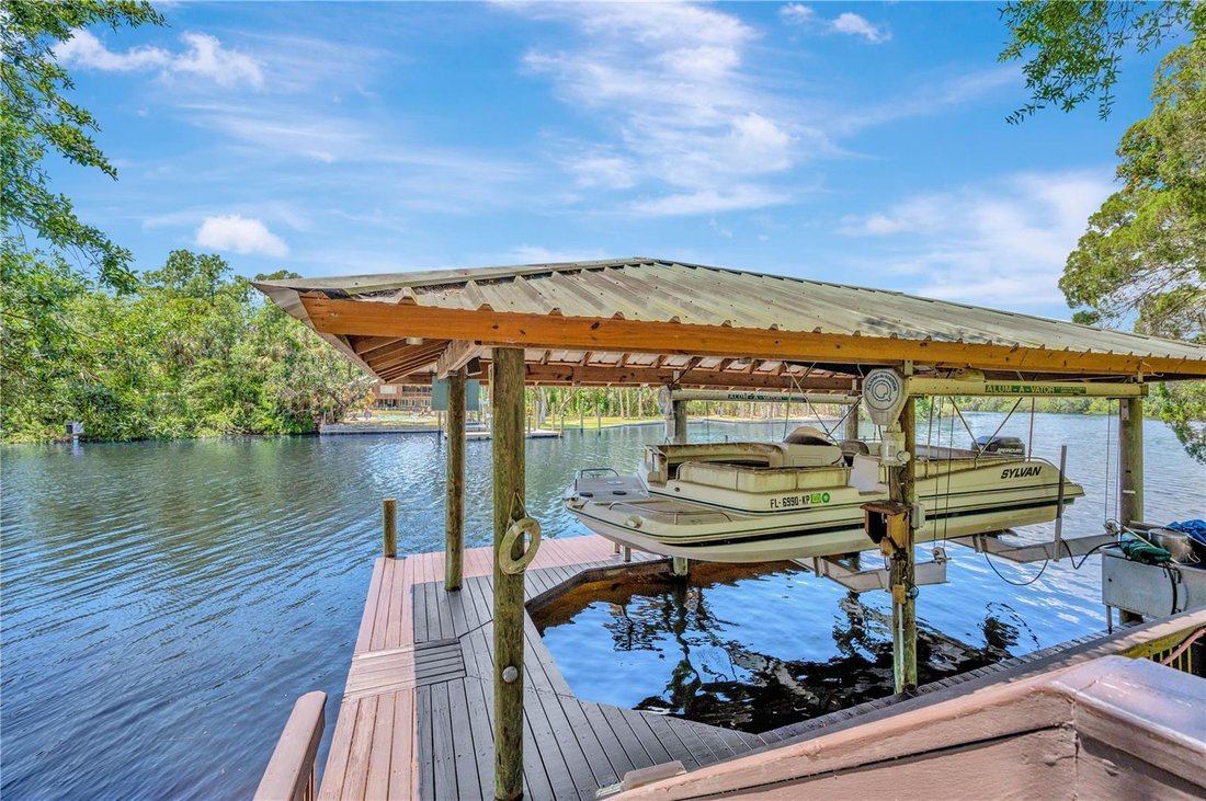 House in Riverview, Florida, United States 2 - 17179149