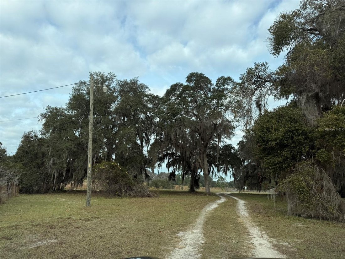 DeLand, Florida, United States 3 - 17184238