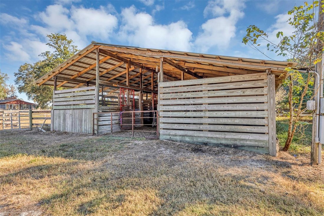 Farm Ranch in Ocala, Florida, United States 5 - 17178368