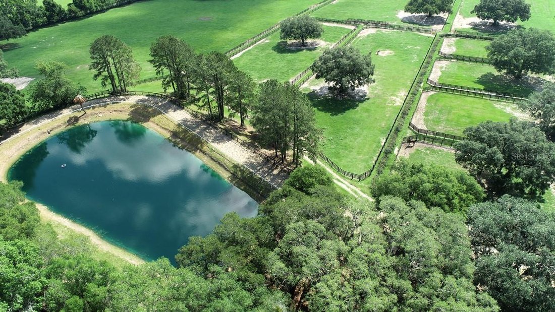 Farm Ranch in Reddick, Florida, United States 5 - 17180974