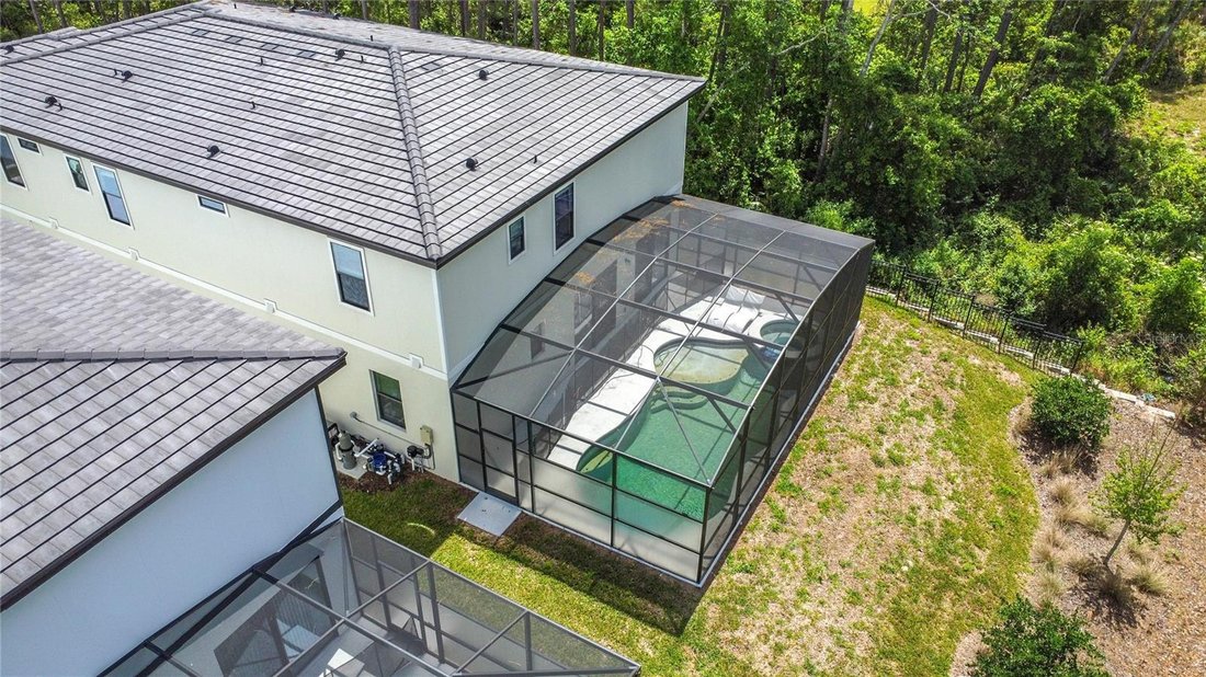 House in Davenport, Florida, United States 5 - 17180688