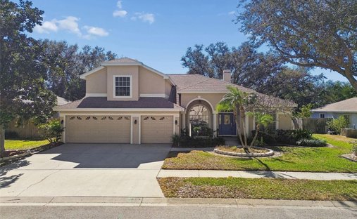 House in Tarpon Springs, Florida, United States 1