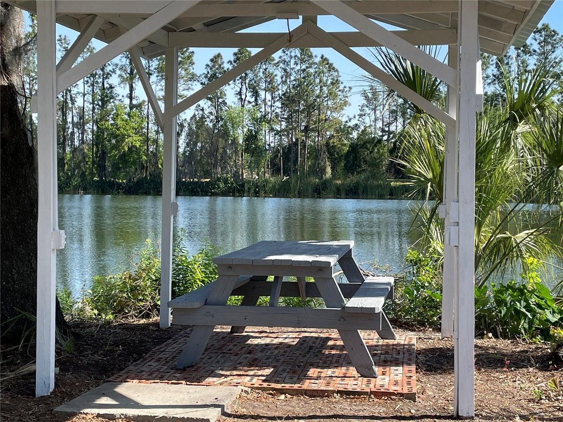 House in Plant City, Florida, United States 4 - 17187348